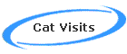Cat Visits